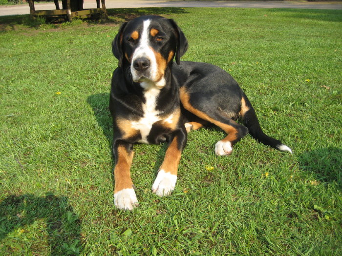 Benita