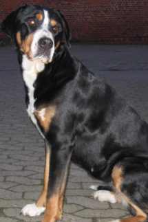 Benita