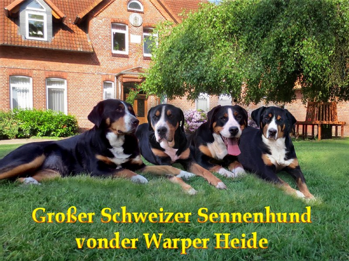 &Uuml;berschrift