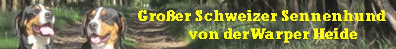 &Uuml;berschrift